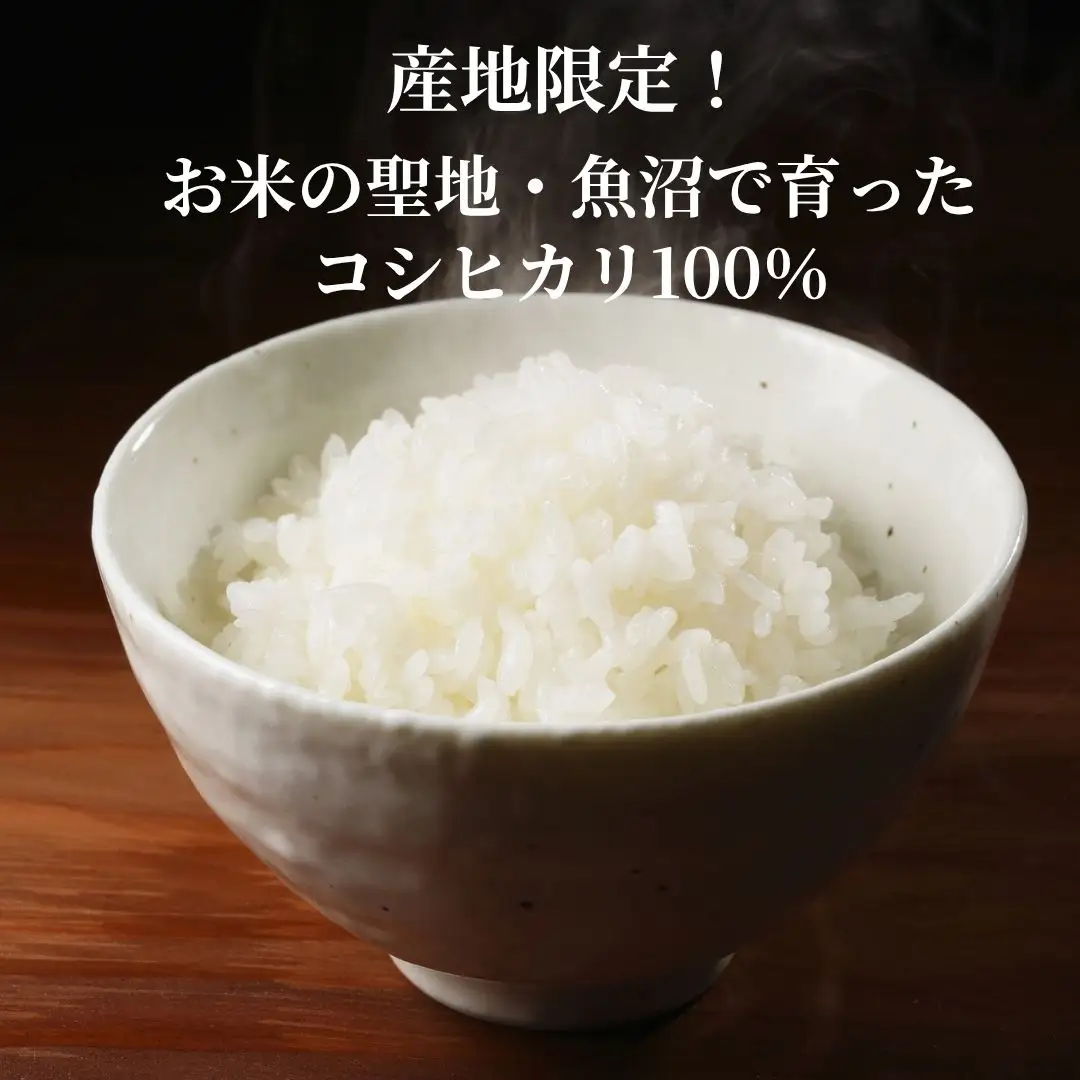 【パックご飯】魚沼産こしひかり パックご飯12個 