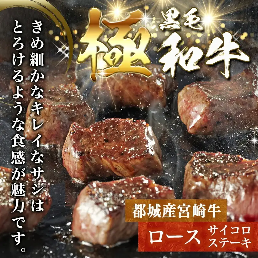宮崎牛ロースのステーキ&スライスセット〔AD-N4-002〕_(都城市) 宮崎県産 都城産 宮崎牛 牛肉 黒毛和牛 ロース ステーキ 切り落とし ソーセージ