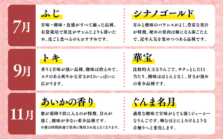 【7月発送開始】隔月配送　定期便3回　訳あり　家庭用　甚八りんご　３kg　【青森県 平川市 マルジンサンアップル】1月 3月 5月 7月 9月 11月 青森 青森県産 平川 りんご リンゴ 林檎 くだもの 果物 フルーツ [hi-0058-093-2025]