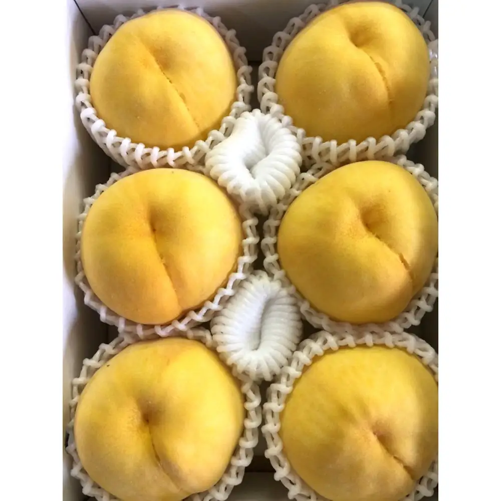 秋の味覚フルーツ定期便 黄桃(黄貴妃)約2kg＆紀の川柿 約2kg【9月・10～11月の計2回発送】