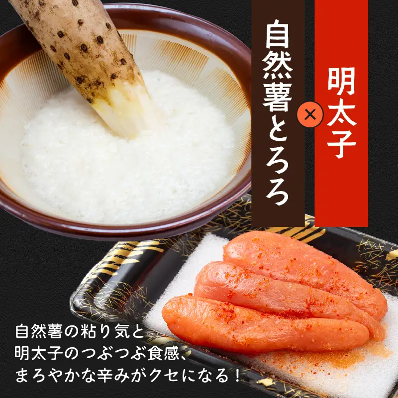 とろろ 食べ比べ 3種セット 100g × 3種 × 2個 尾白弁当 【とろろ】