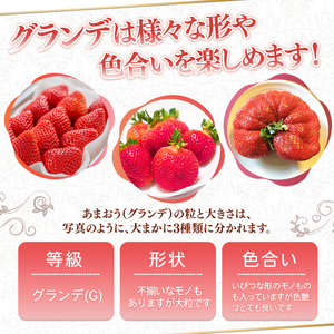＜先行予約受付中！2027年1月中旬～3月末に順次発送予定＞福岡県産 あまおう(計約1.5kg・250g×6P)いちご 苺 フルーツ 果物 くだもの 冷蔵 ＜離島配送不可＞【ksg1806】【エフビーネット】