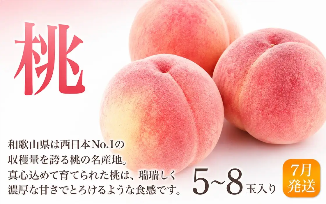 【全3回定期便】和歌山の旬のフルーツ定期便！人気の桃・ピオーネ・梨をお届け♪ 【BG-tkb306】