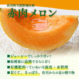 【ふるさと納税】先行受付＜メロン 2玉 合計約3kg＞ サンライズメロン 赤肉 めろん 赤 果物 フルーツ 果実 家庭用 旬 ちょっと訳あり【常温】高知県 佐川町 はちきんの店 ＜2026年7月中旬頃～8月中旬頃までに発送予定）＞