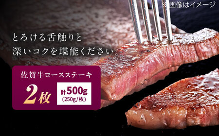 佐賀牛 ロースステーキ 500g（250g×2枚） / 佐賀県 / 織田精肉店 [41ADAB002]