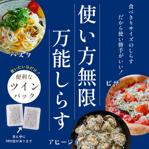 【しらす】釜揚げしらす 900g ツインパック30g×30個 愛媛県松山市【NKT003】