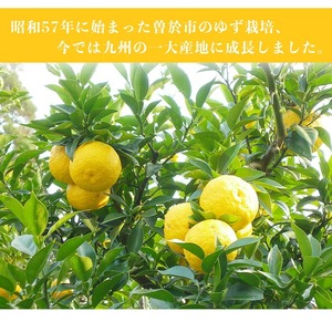 末吉ゆず ポン酢 調味料 (1本・500ml)【メセナ食彩センター】A837-v01