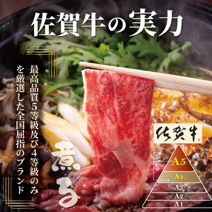 【定期便】佐賀牛 6回お肉の定期便 (隔月・奇数月お届け)  肉本舗小城 Q132-002
