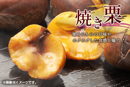 ＜2026出荷!!＞国産 低温熟成栗（生栗）1.5kg 熟成宝珠栗 産地直送 宮崎県新富町産【B672-26】