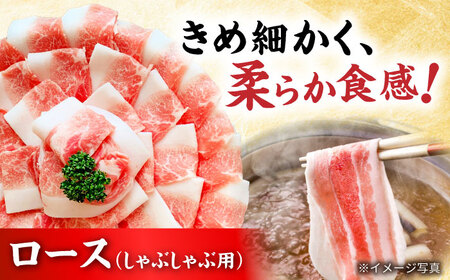 【全3回定期便】瀬戸豚3種セット計1.6kg豚肉 [BBBQ061] 豚肉 定期便