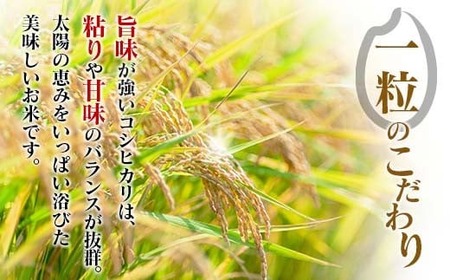 2週間以内に発送 早場米 コシヒカリ 計20kg_I30-25