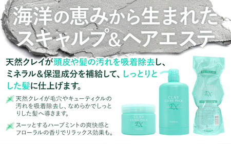 トリートメント クレイエステ パック EX 300g《30日以内に出荷予定(土日祝除く)》茨城県 結城市 化粧品 ヘアケア トリートメント ミント スカルプ ヘアエステ クレイ 詰め替え用 ケア用品 ヘア 美容【配送不可地域あり】