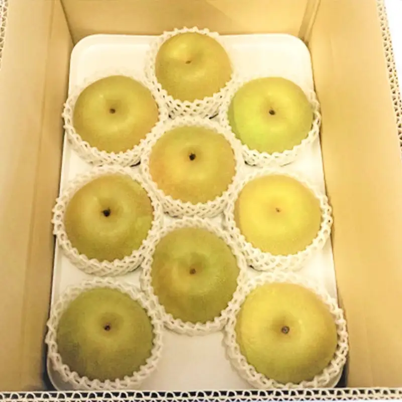 【産地直送】筑前町の豊かな自然の中で育まれた梨 約3kg(5玉～9玉)【梨 なし ナシ 幸水 豊水 秋月 甘太 新高 王秋 愛宕 果物 くだもの 果実 フルーツ 新鮮 フレッシュ 旬 筑前町産 食品 おすすめ 人気 ふるさと納税 福岡県 筑前町 送料無料 AE055】