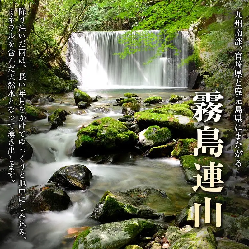 【定期便】 天然シリカ水 細野の天然水 555ml 24本 5回 中硬水 ミネラルウォーター シリカ ケイ素 霧島連山の贈り物 常温保存 備蓄 防災 宮崎県