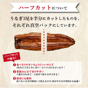 うなぎ蒲焼 1尾 ハーフカット2枚 国産うなぎ 冷凍
