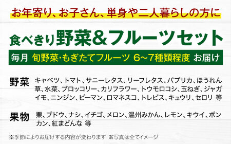 【全6回定期便】野菜×フルーツセット（6-7種）少量食べきりセット　 野菜 果物 やさい 少量セット[AGBX049]