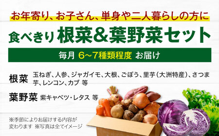 【全6回定期便】根菜×葉野菜 （6-7種）少量食べきりセット　 野菜 果物 やさい 少量セット[AGBX053]
