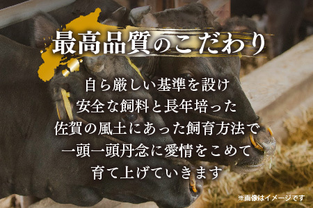 艶さし!【A4～A5】佐賀牛サーロインステーキ 300g(150g×2枚)(H112271)