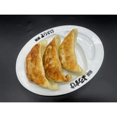 麺屋ようすけ大餃子10個入り×2袋【配送不可地域：離島】【1645305】