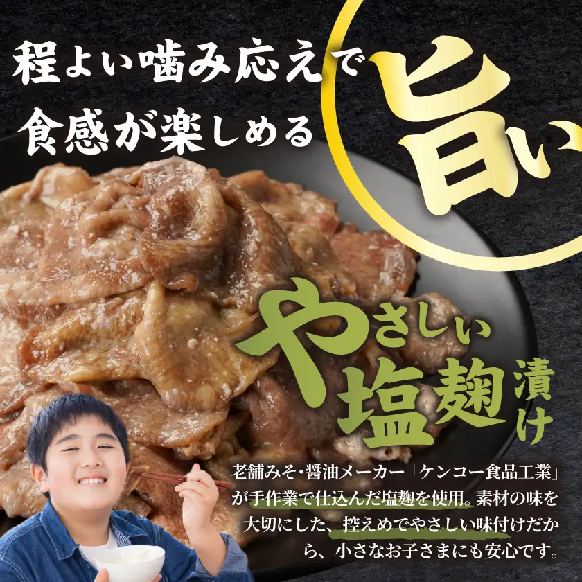牛タン切り落とし 塩麹タレ漬け1kg≪みやこんじょ特急便≫〔12-3316-Q〕_(都城市) 