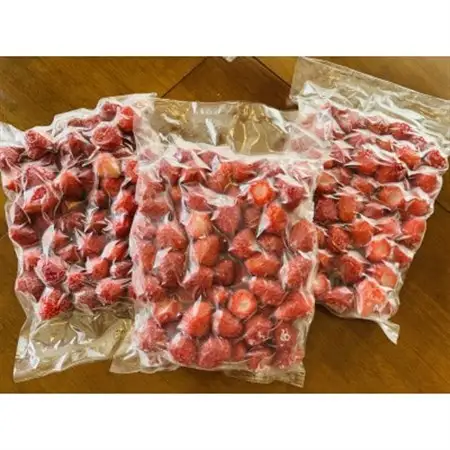 厳選　完熟冷凍いちご　愛知県新城産紅ほっぺ【500g×3袋】【配送不可地域：離島】【1548627】