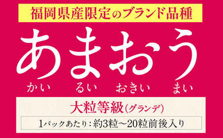 【ふるなびWEEK対象】福岡の名産いちご あまおう 1080g