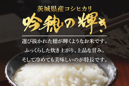 ＜令和７年産＞ コシヒカリ 5kg 精米 こしひかり 米 ごはん コメ お米 白米 国産 茨城県産_AR010