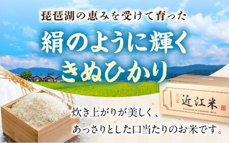 【スピード発送】キヌヒカリ 10kg 白米 [AQDH004] きぬひかり 白米