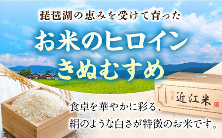 【スピード発送】きぬむすめ 5kg 白米 [AQDH005] きぬむすめ 白米