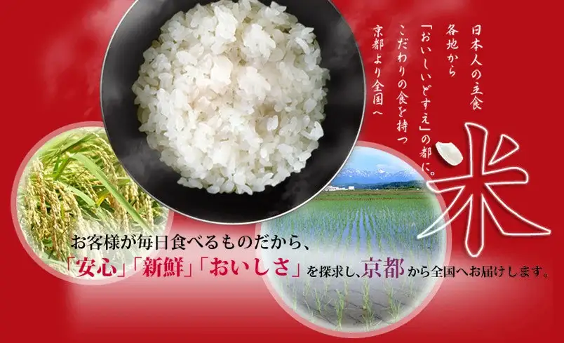 【令和7年産】京都丹波産きぬひかり 10kg 白米 精米
