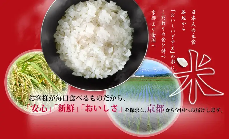 【令和7年産】丹波産 米 2種食べ比べセット 10kg (5kg×2) 白米 精米