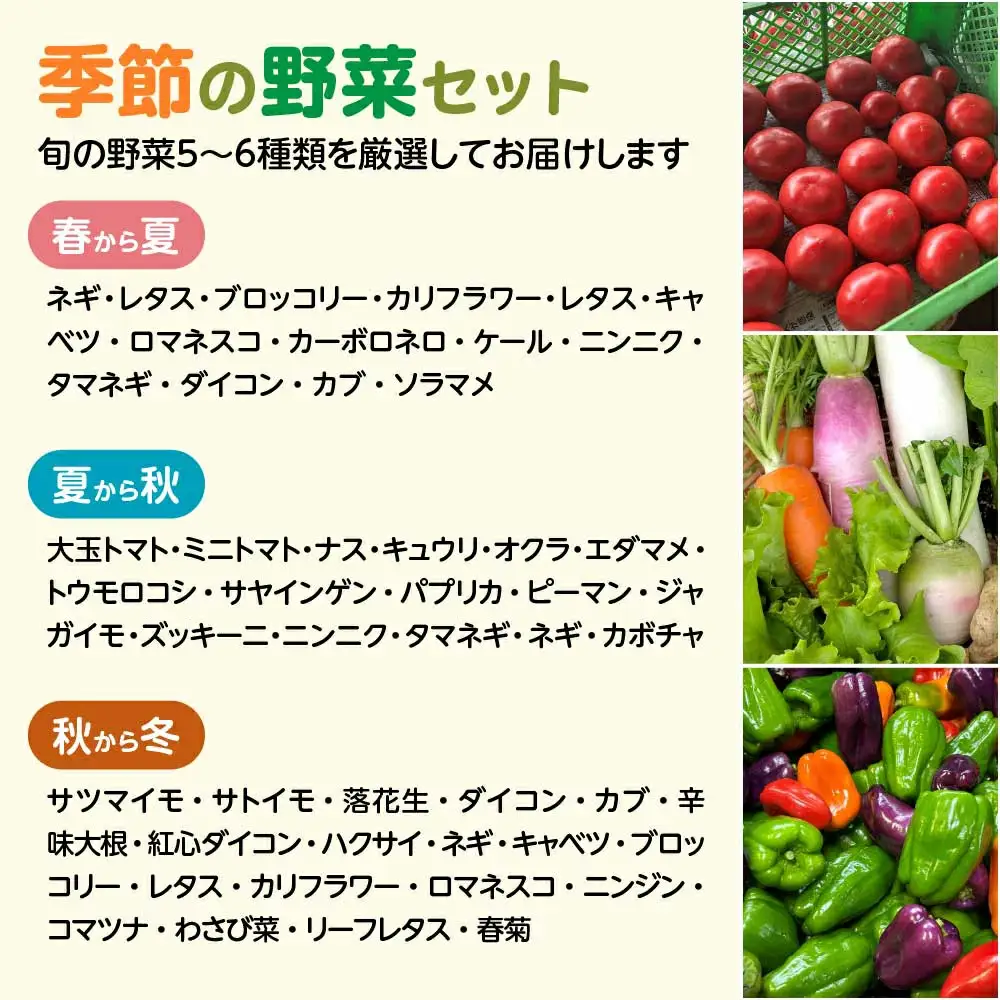 季節の野菜セット 5～6種類　【70P3207】