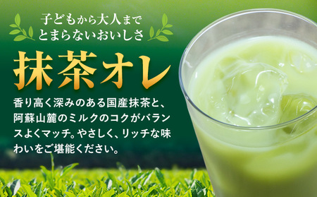 抹茶・オ・レ 【1回】250ml×48本 選べる 内容量 合同会社たべたせいか《30日以内に出荷予定(土日祝除く)》 抹茶オーレ 抹茶オレ 抹茶ミルク 抹茶 抹茶 乳製品 乳飲料 クロレラ 飲み物 飲料 常温保存 お取り寄せ 国産抹茶 熊本県産 菊池市 送料無料