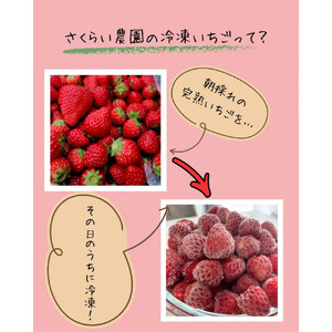 【訳アリ 冷凍いちご】静岡県産の完熟紅ほっぺを使用した冷凍いちご1kg【静岡県産】