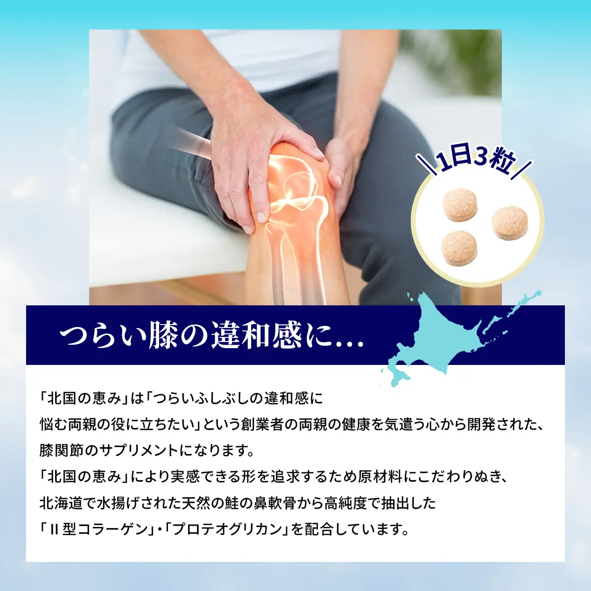 北国の恵み　1袋(93粒)　31日分 OSMQ001 | 北国の恵み