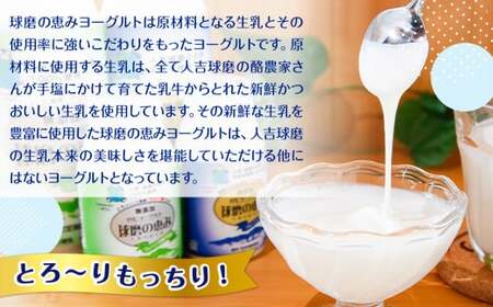 【順次発送】球磨酪農おすすめ！球磨の恵みヨーグルト堪能セット