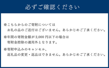 湯前町への寄附（返礼品はありません） 10,000円