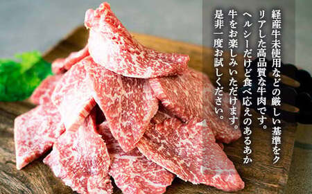 熊本県産 GI認証取得 くまもとあか牛 焼き肉用切り落とし 合計600g 300g×2パック 肉 お肉 牛肉 赤牛 あか牛 切り落とし 焼き肉 焼肉 BBQ バーベキュー 熊本県 湯前町