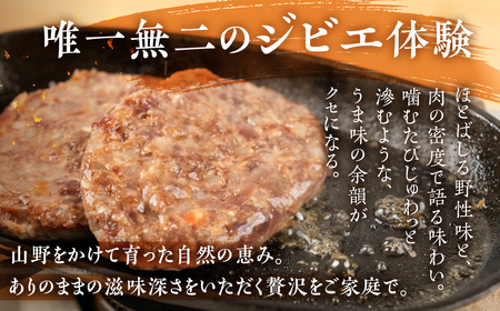 鹿肉ハンバーグ 10個 ジビエ ハンバーグ ジビエハンバーグ (1パック2個入り×5パック) 小分け 冷凍ハンバーグ 赤身 あらびき ぎふジビエ  冷凍 手造り 鹿 肉加工品 [mt1806] 10000円 1万円