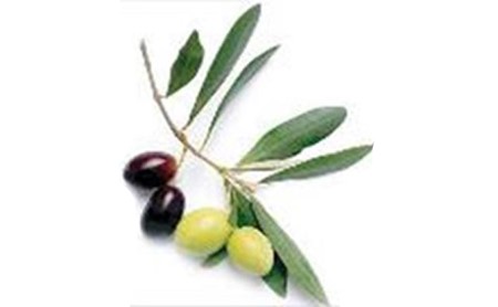 【 小豆島 】スパークリング・オリーブ　12本セット お酒 洋酒 リキュール類 