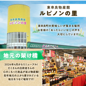 【0075934a】物産館おススメ！東串良町産 冷凍焼き芋・紅はるか(計1kg・500g×2袋) 焼芋 焼き芋 やきいも さつまいも さつま芋 スイーツ ご家庭用 【東串良物産館ルピノンの里】
