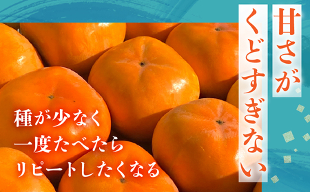 次郎柿 6.5kg 訳あり ご自宅用 甘 柿