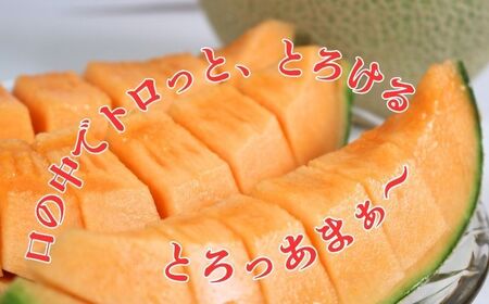 赤肉とろ甘メロン 2玉 【先行予約7月上旬～発送】 メロン