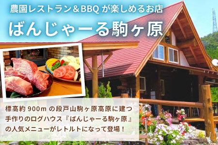 お肉ごろごろ 農園レストランで大人気 段戸山牛のビーフシチュー 2人前 惣菜 レトルト ビーフシチュー 牛肉 シチュー 手作り 食品 おかず 惣菜 牛 農園 -216