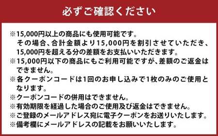 【15,000円分】DEEP BLUE（ディープブルー）クーポン券 クーポン チケット デニム ジーンズ 岡山県 倉敷市