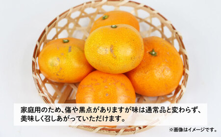 【みかん定期便】みかん定期便3回玉津柑橘倶楽部B030-072048