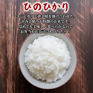 R8 新米 ヒノヒカリ 米 5kg  【ひのひかり】
