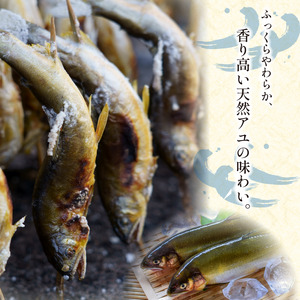 【先行予約】天然 鮎 400g 川魚 あゆ【 鮎 】
