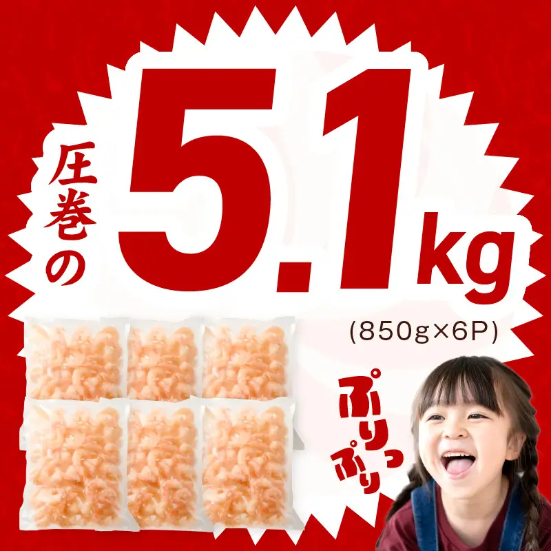 むきえび 総量 5.1kg 特大5Lサイズ【850g×6P】