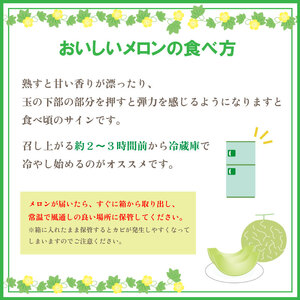 【2026年 先行予約】 貴味 メロン 約 3kg以上 青肉 （ 4L × 2玉 ） 【 メロン 】